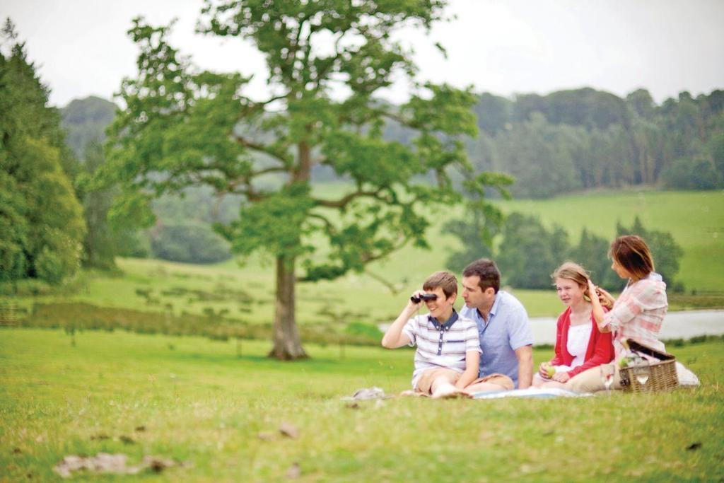 Swandown Lodges Chard Extérieur photo